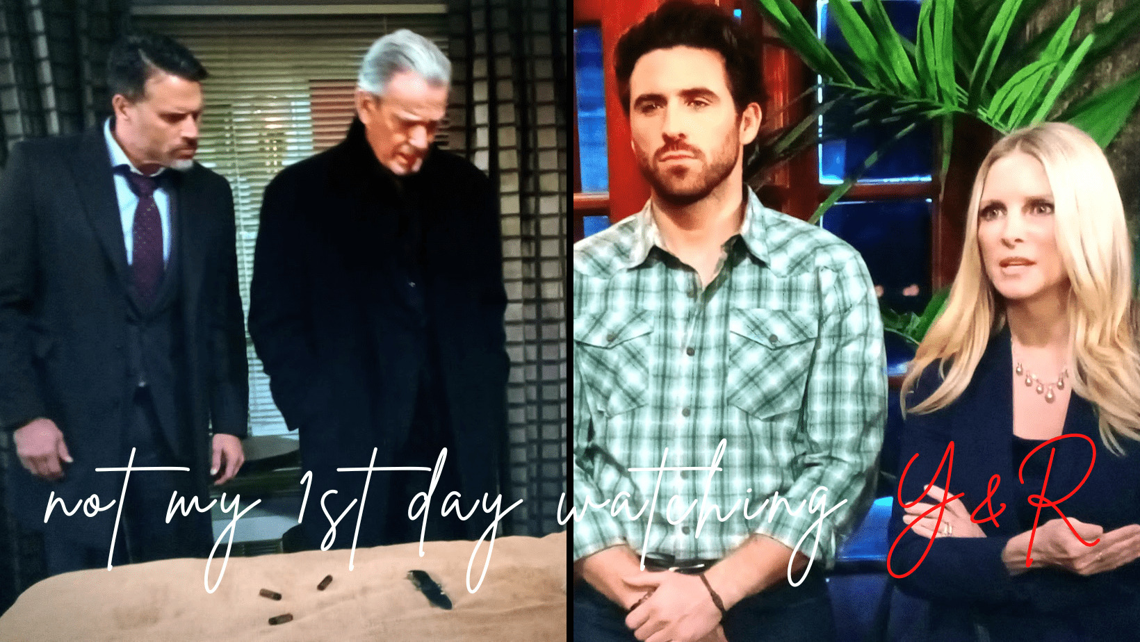 Security in Genoa City, Y&R, GCPD